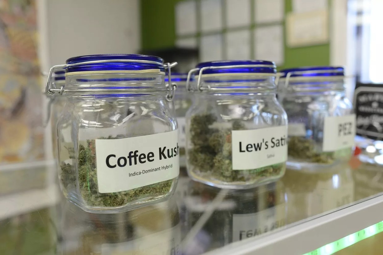 Denver and Colorado Springs Residents Both High on Legalizing Cannabis