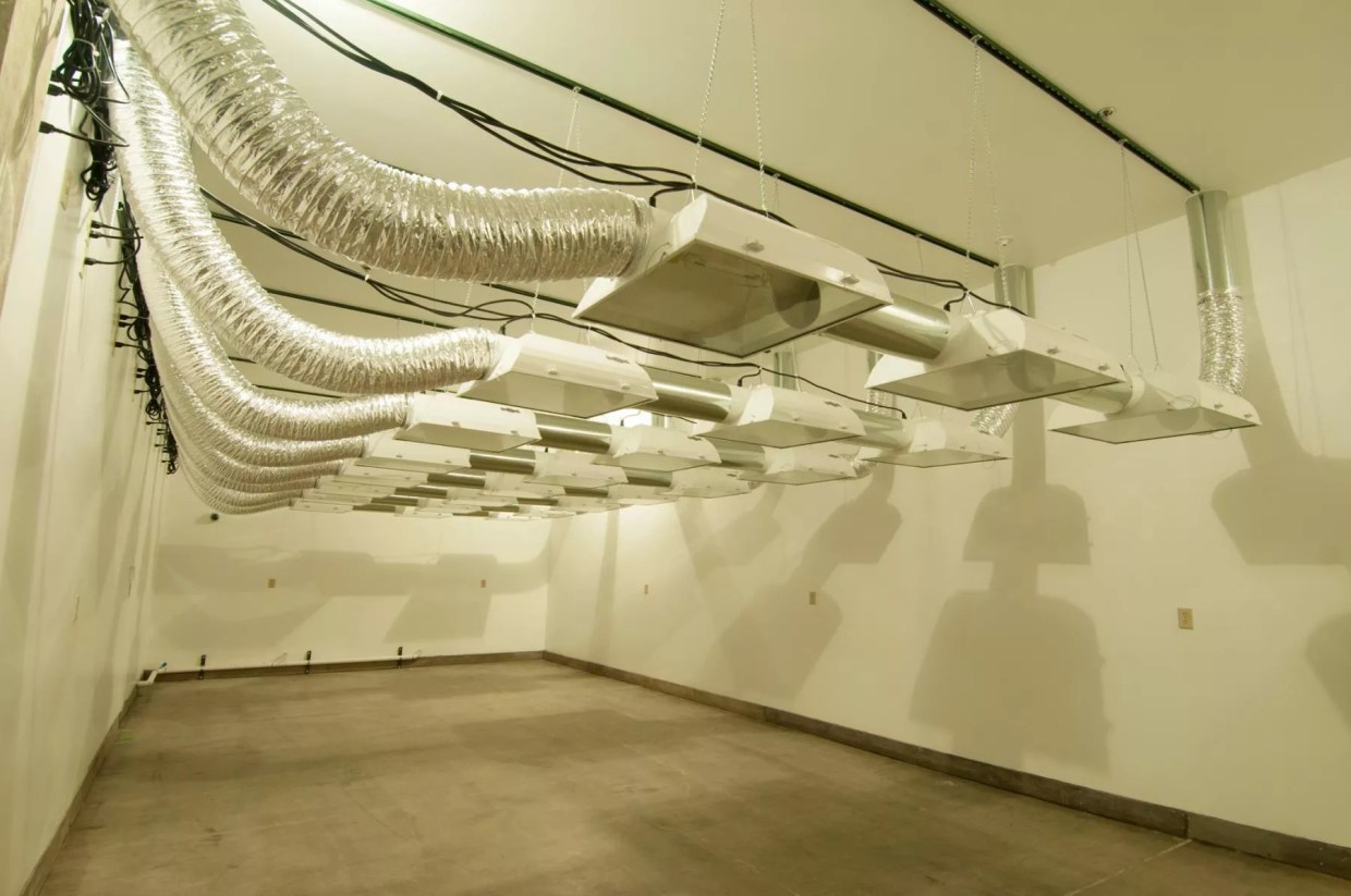 Colorado Dominates Top 150 Ancillary Cannabis Companies