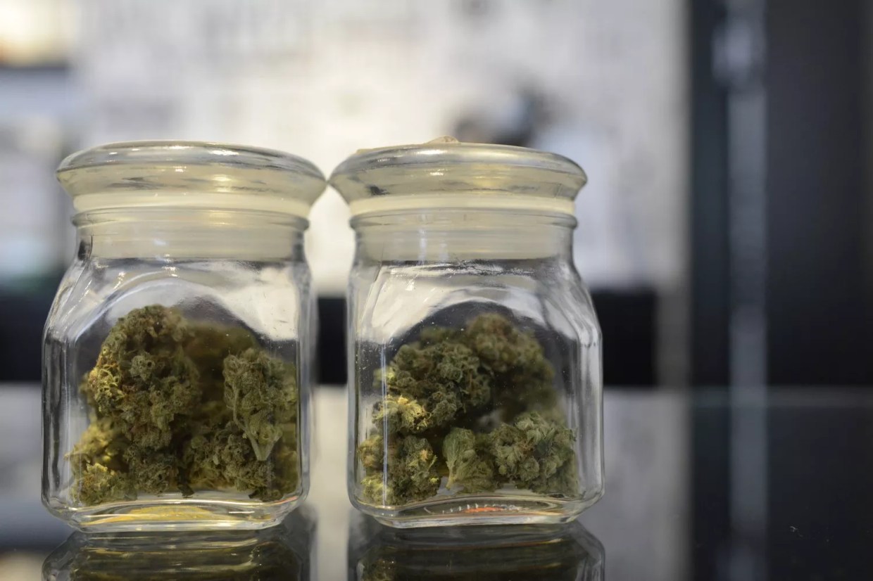 Cannabis Strains That Keep the Munchies Away