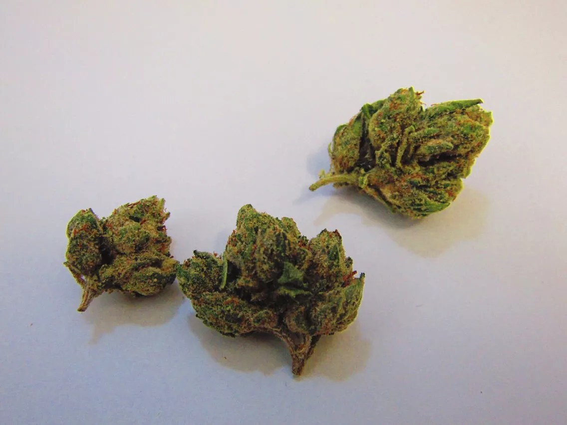 Why Colorado Tokers Love San Fernando Valley OG