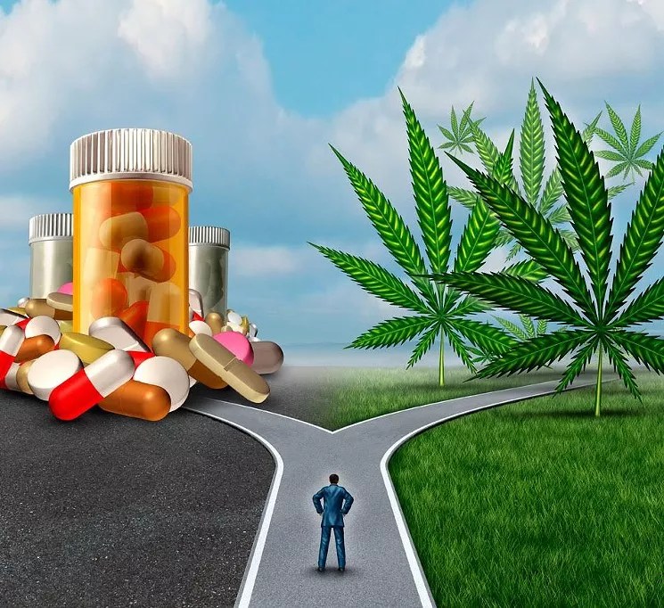 Reader: To Fight Opioids, the White House Should Start by Legalizing Marijuana