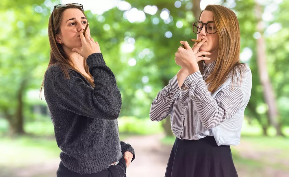 CU Leading $5.5 Million Study on How Marijuana Affects Adult Twins