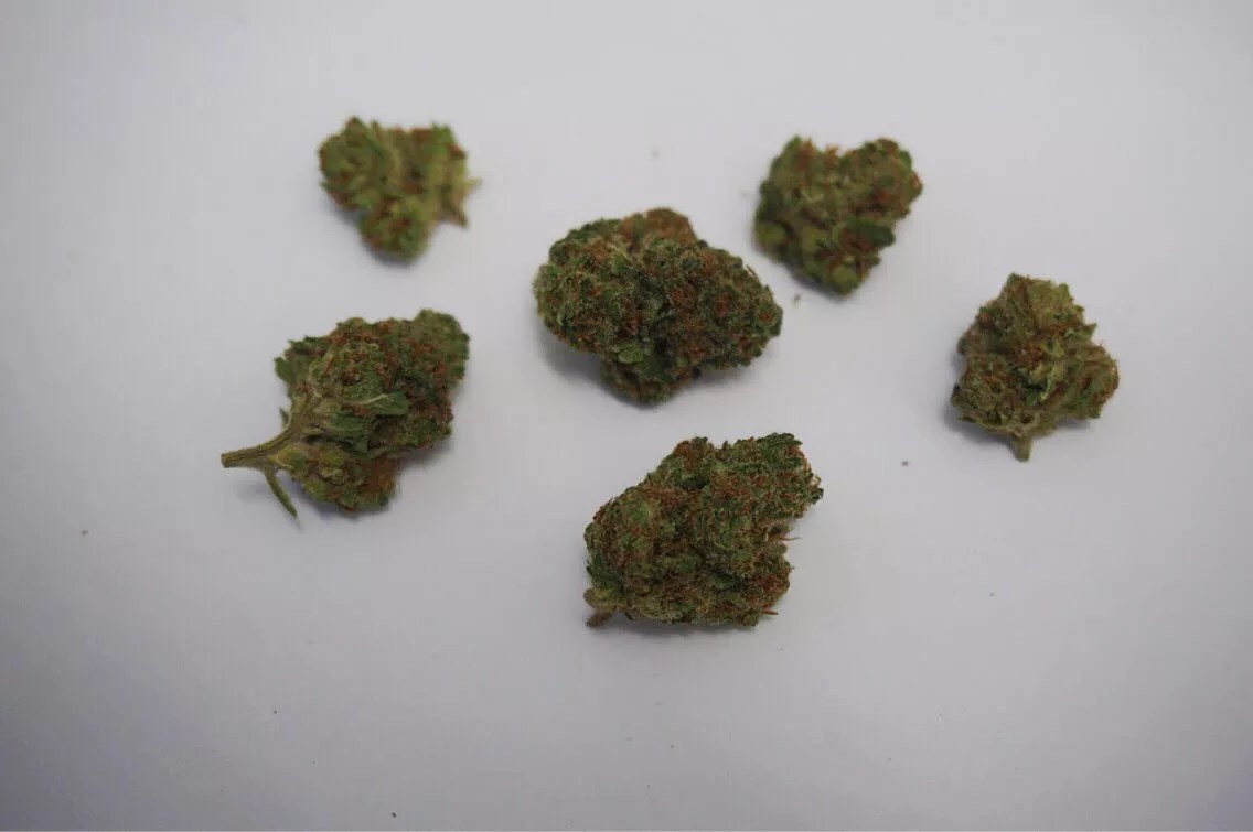 Why Colorado Tokers Love Harlequin