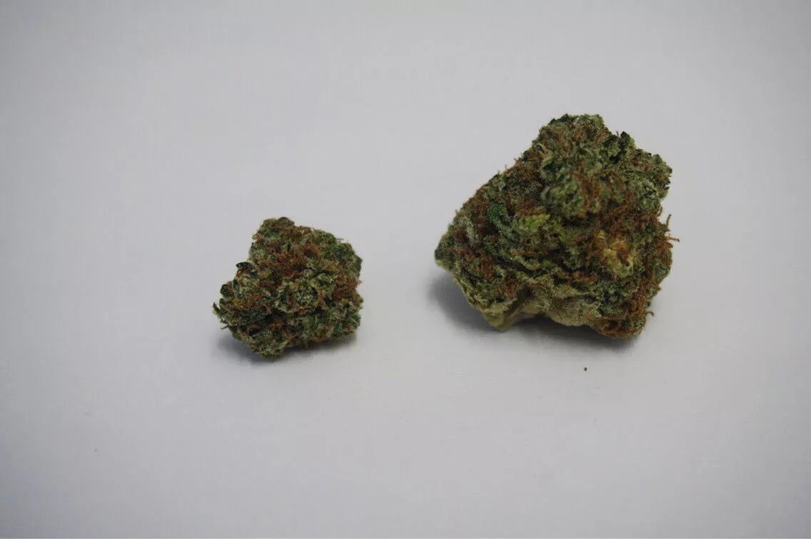 Why Colorado Tokers Love Maui Strawberry