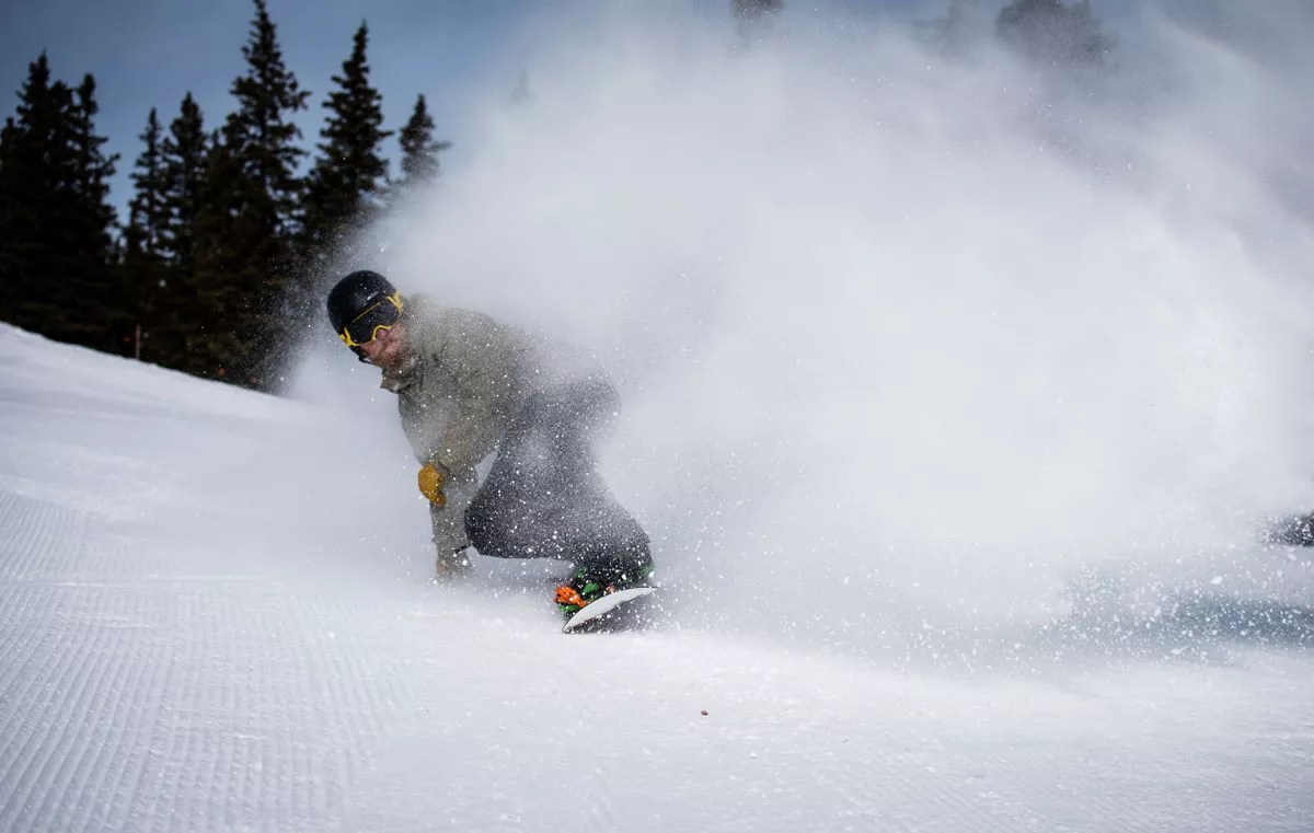 Five Things to Know About Monarch This Season