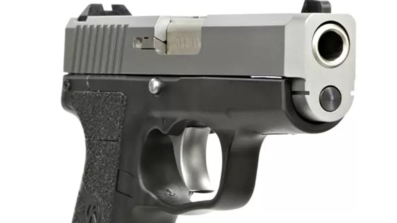 Gun Porn: See the Gat Rep. Lori Saine Was Busted for Taking Into DIA