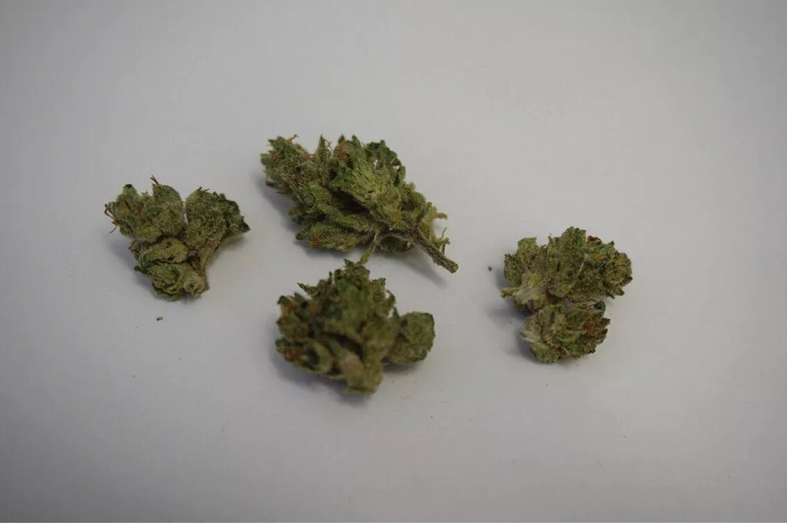 Why Colorado Tokers Love Denver Maple