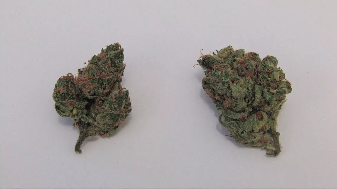 Why Colorado Tokers Love Death by Lemons