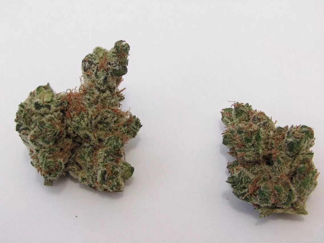 Why Colorado Tokers Love Cactus Breath