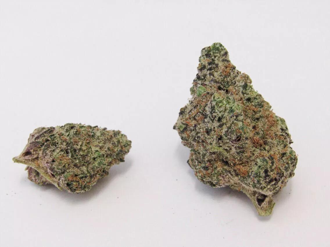 Why Colorado Tokers Love Wedding Cake