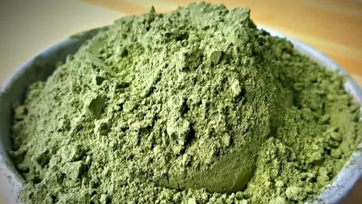 Kratom: Libertarian Party of Colorado Rips Denver Human Use Ban