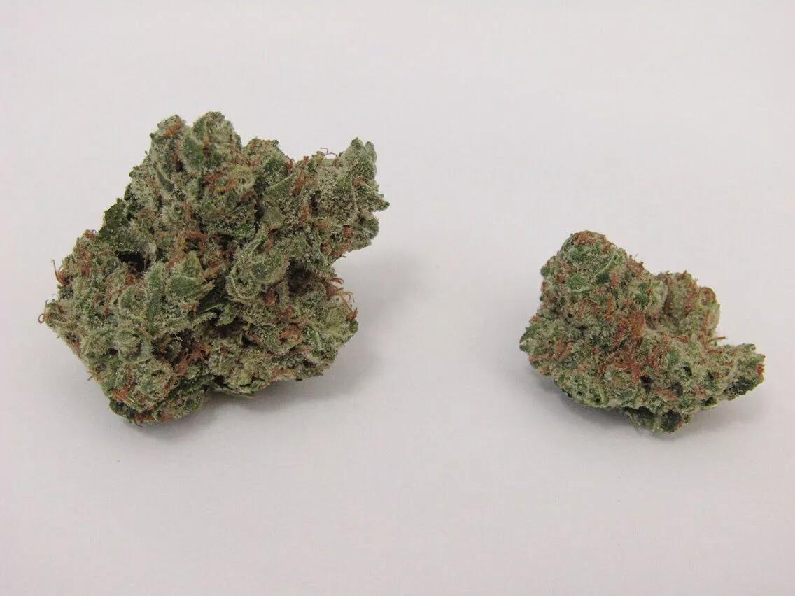 Ten Most Popular Strains Through 2018