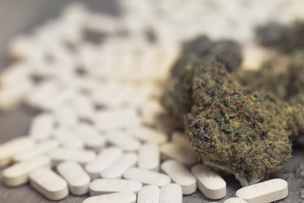 Drug Free America Believes Legal Weed Exploits the Opioid Epidemic
