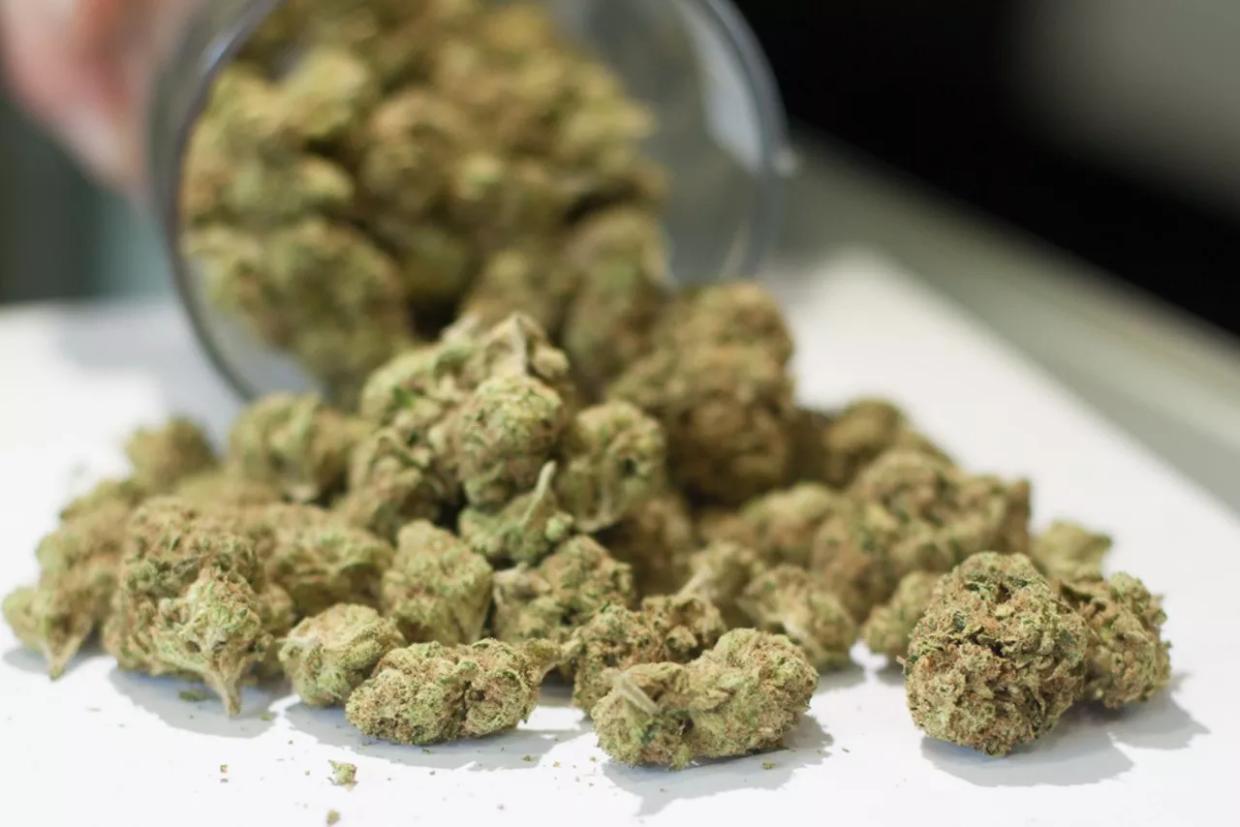 Denver Dispensaries Collected Over Half a Billion Dollars in 2017