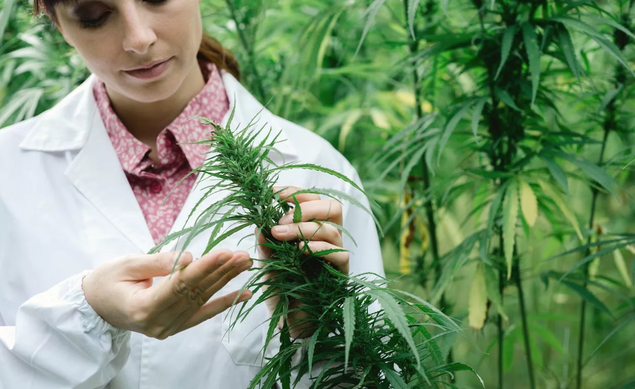 How Women Can Continue Rising in the Cannabis Industry