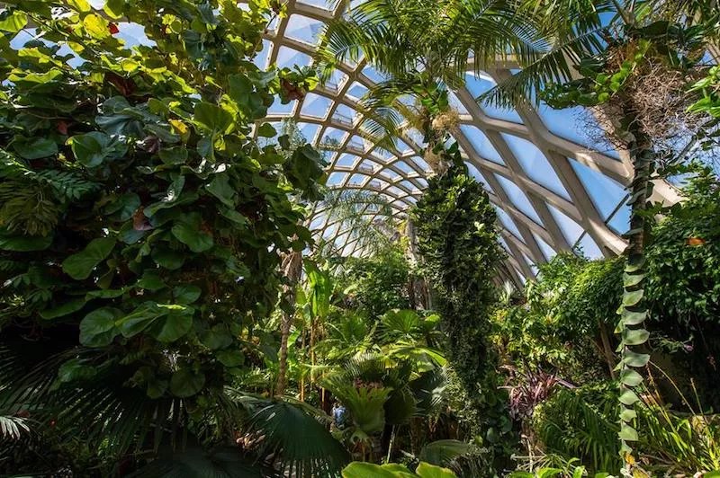 Families Receiving Food Aid Can Access Denver Botanic Gardens for a Dollar