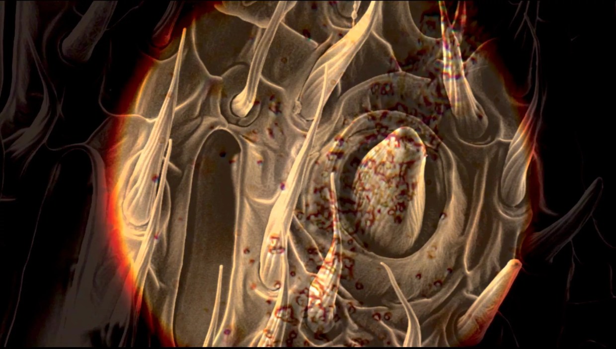 Book It: The Five Best Literary Events This Week