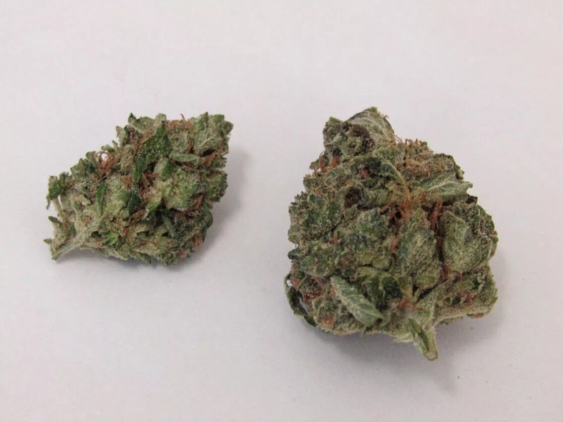 Why Colorado Tokers Love Kong