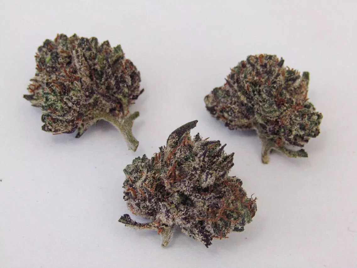 Why Colorado Tokers Love Purple Kush