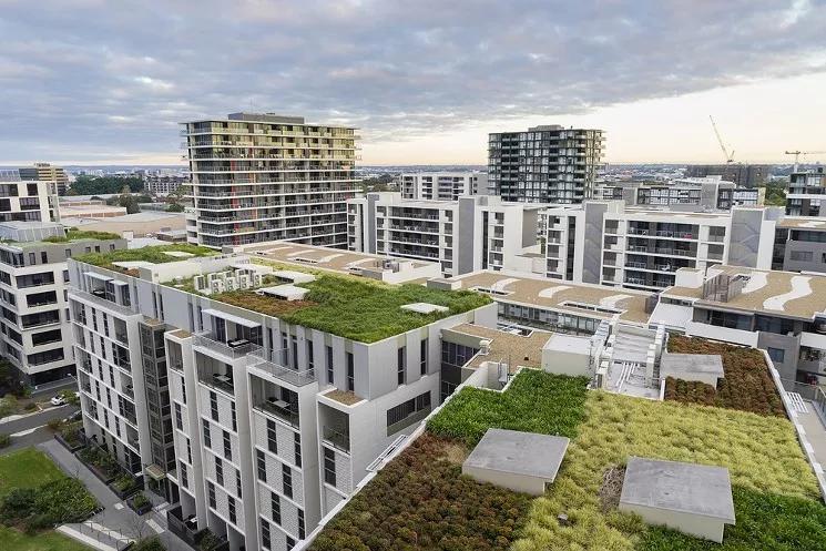 Green Roof Initiative Backer on His Missteps, Future in City Policy