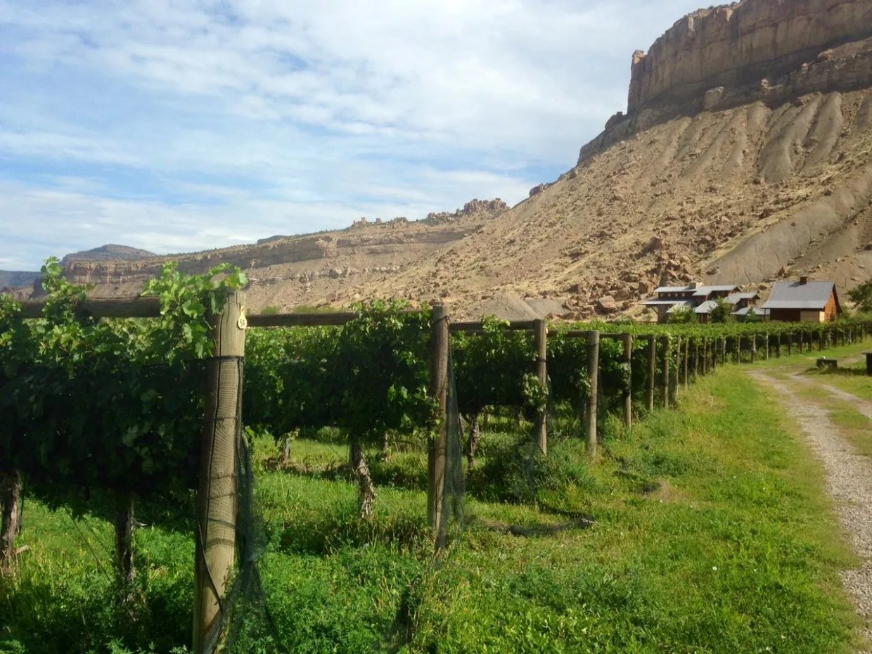 The Ten Best Mother’s Day Events in Denver