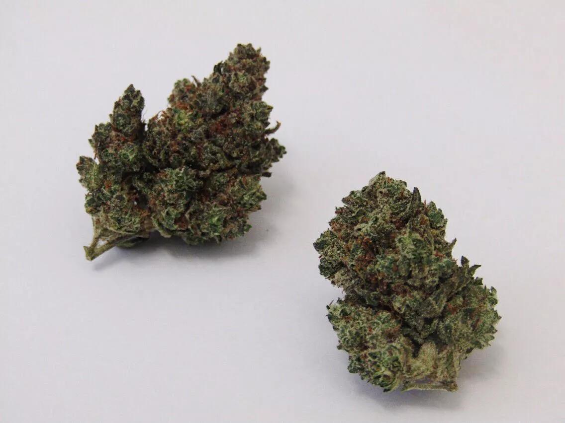 Why Colorado Tokers Love Cheese Quake
