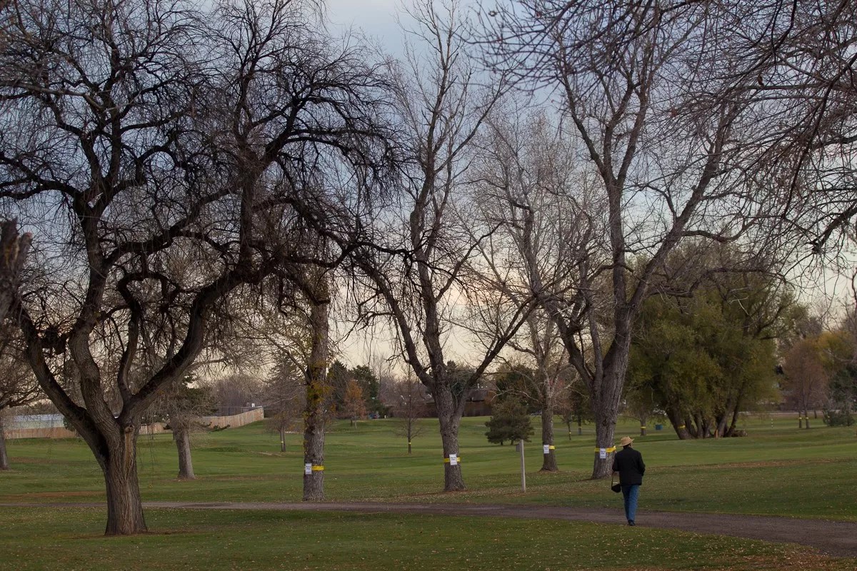 Op Ed: Why Land-Use Control in Parks Is Important