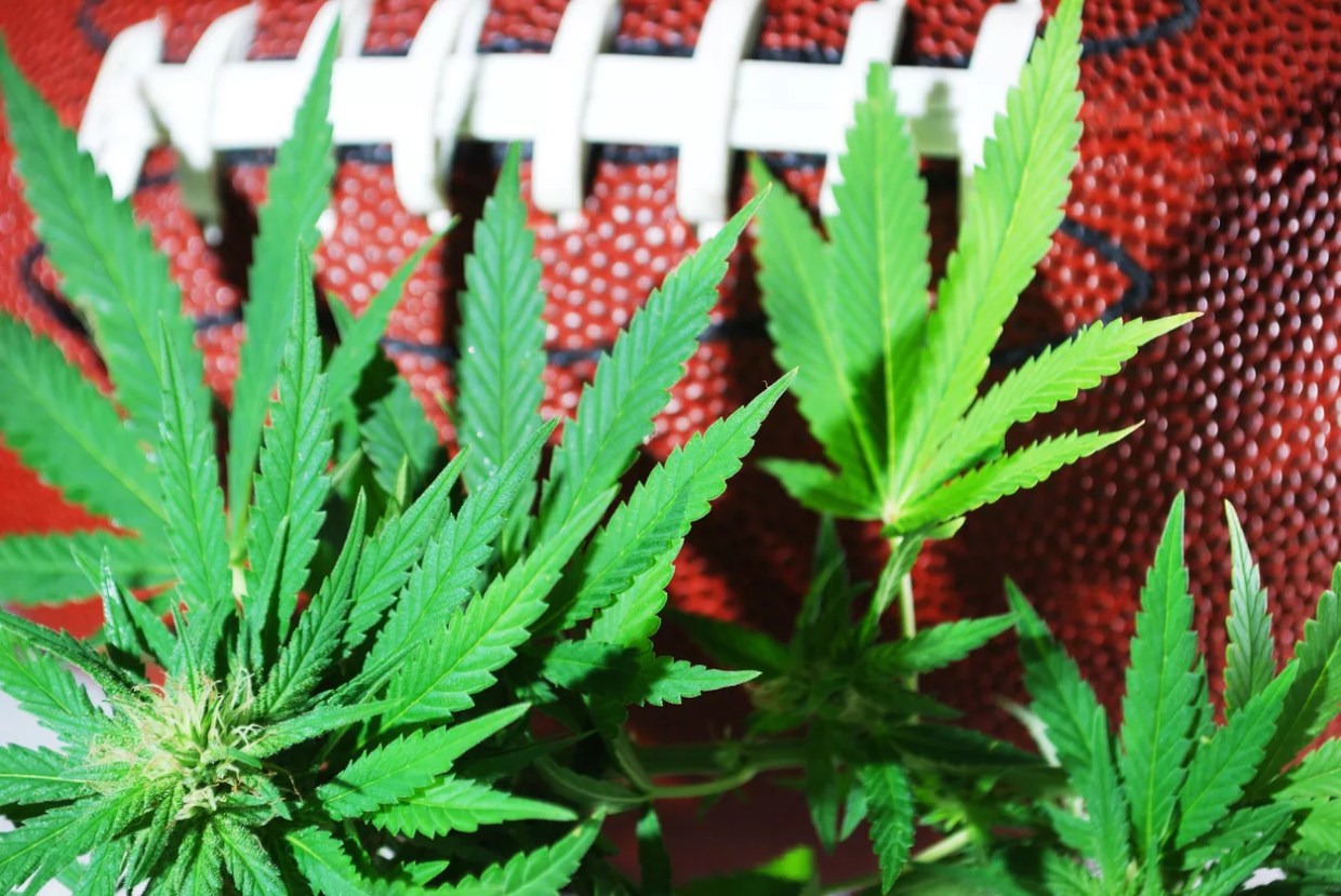 Greener Pastures: How Cannabis Helps Former Athletes Prosper After Sports