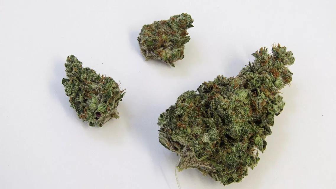 Why Colorado Tokers Love Sunset Sherbet