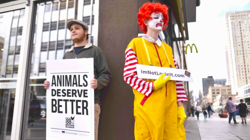 McDonald’s Protest in Lakewood Over Treatment of Pre-McNuggets Chickens