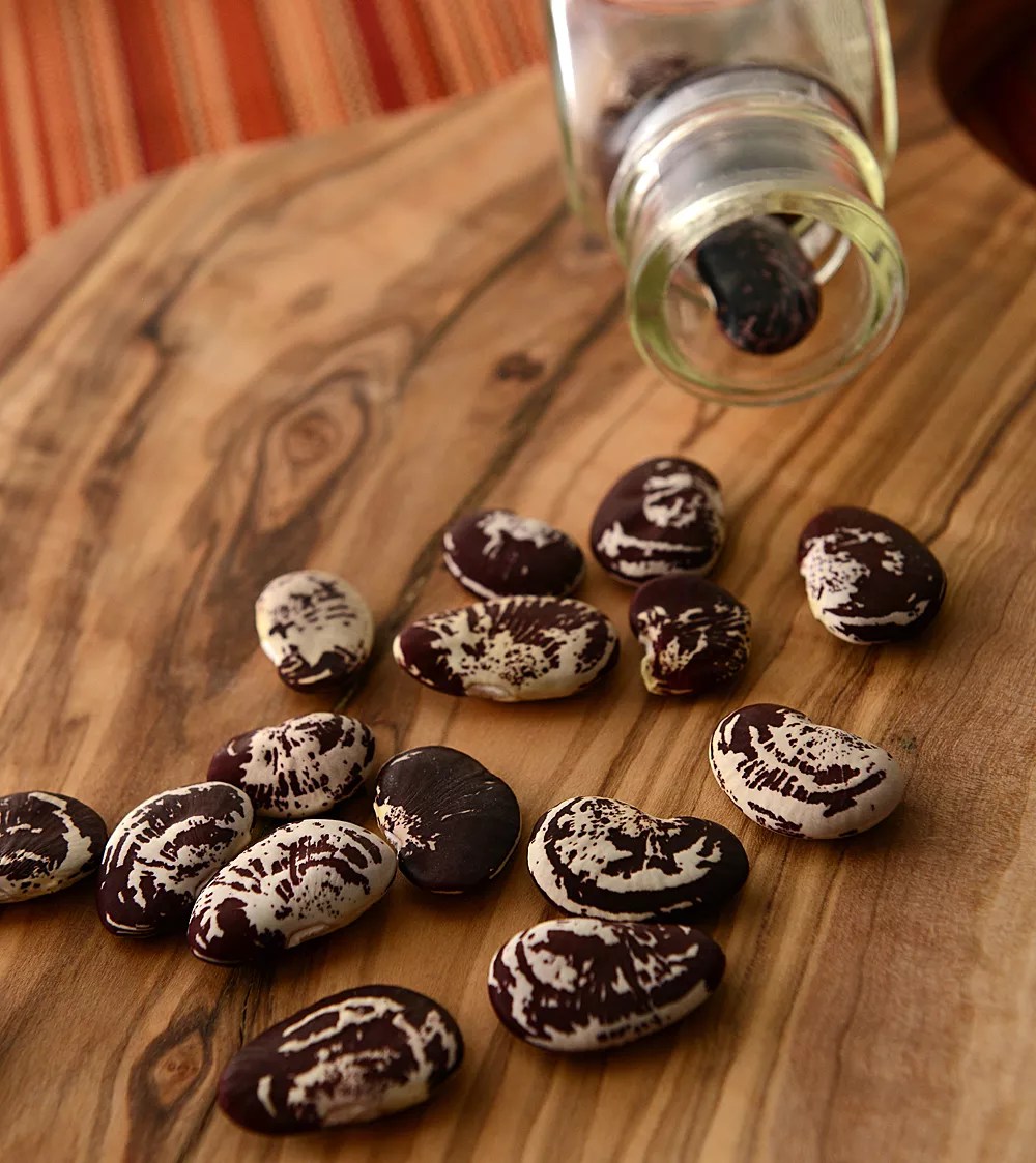 Why Is Dr. Tomato Full of Beans?