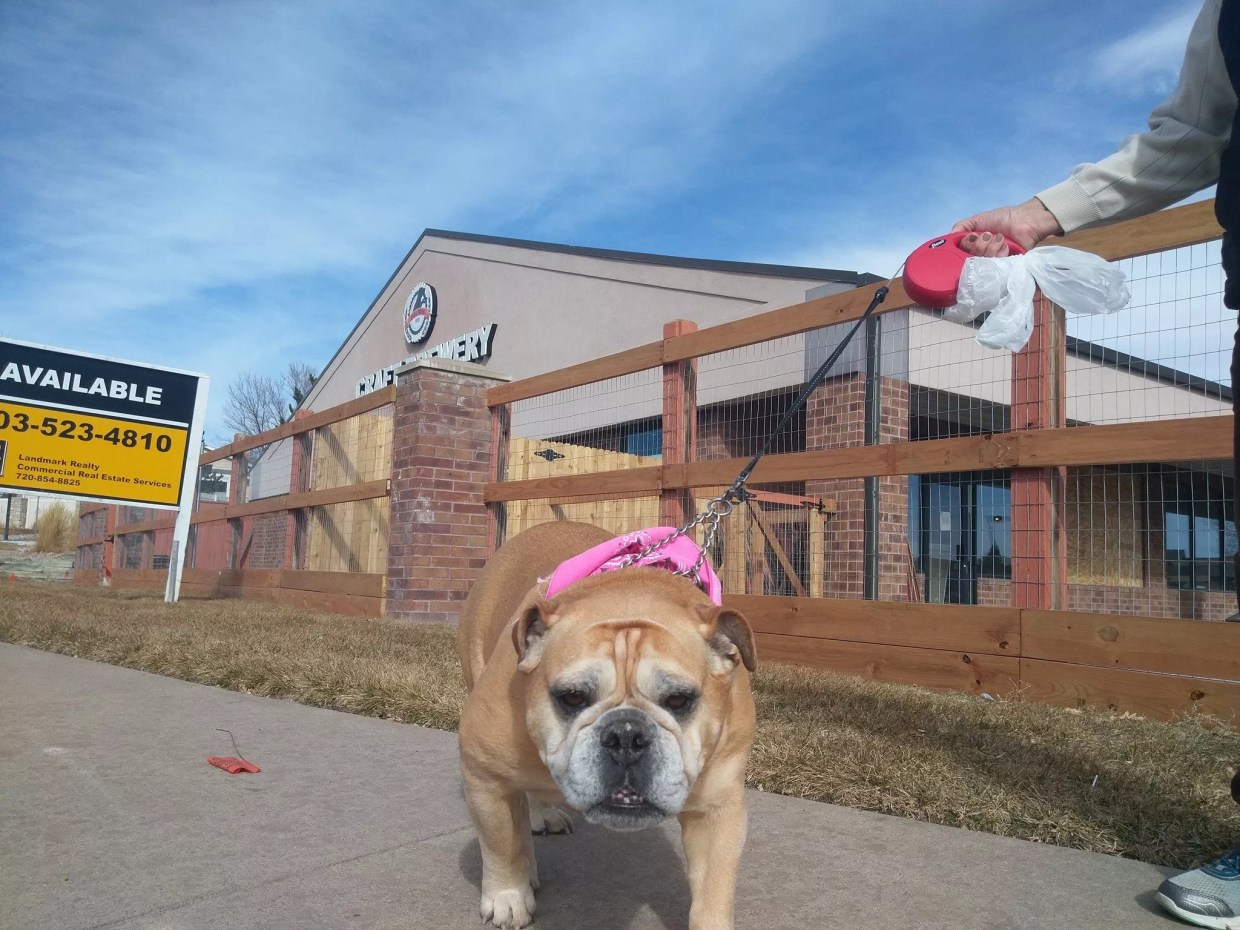 The Ten Best Colorado Craft-Beer Events in July