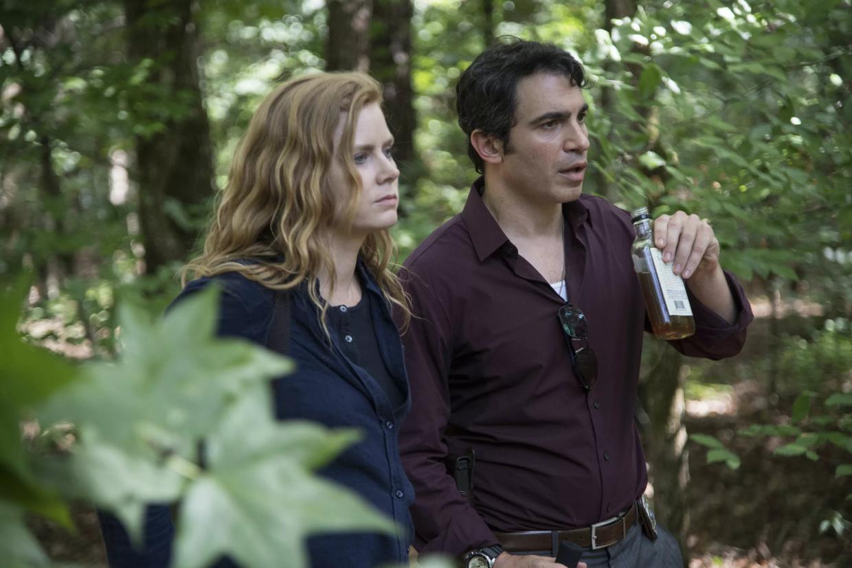 Gillian Flynn and HBO’s <i>Sharp Objects</i> Cut to the American Bone