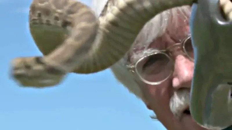 Dr. Kevin Fitzgerald on Rattlesnake Facts, Myths, Dos and Don’ts If Bitten