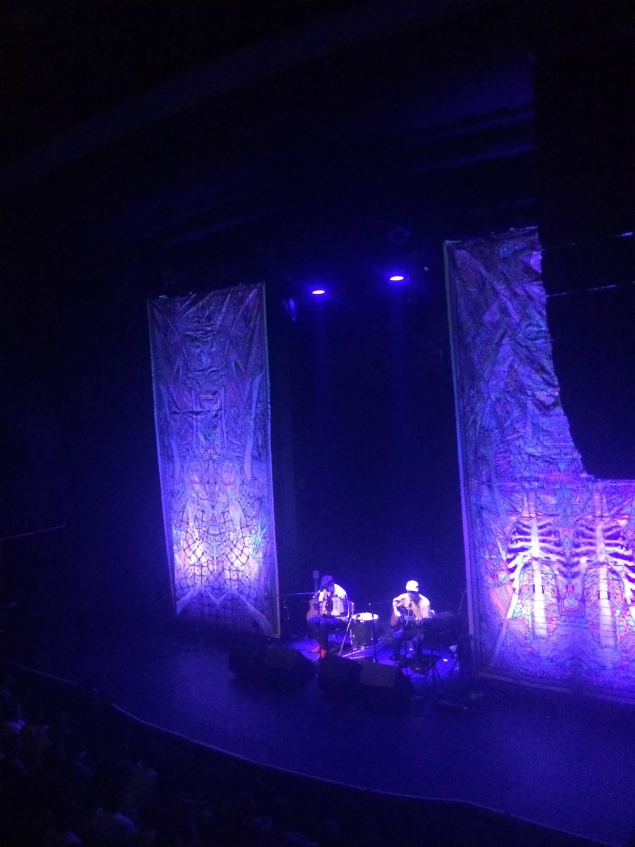 Animal Collective Doses Denver with <i>Sung Tongs</i>