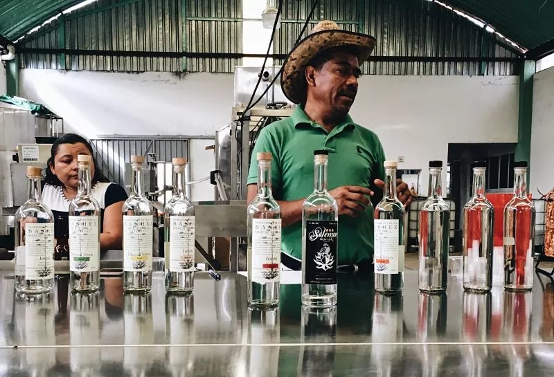 A Visit to Banhez Clears the Smoke Around Mezcal