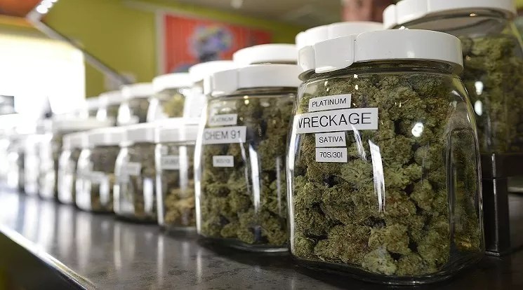 Op Ed: Your Article Was an Insult to All Legitimate Cannabis Patients