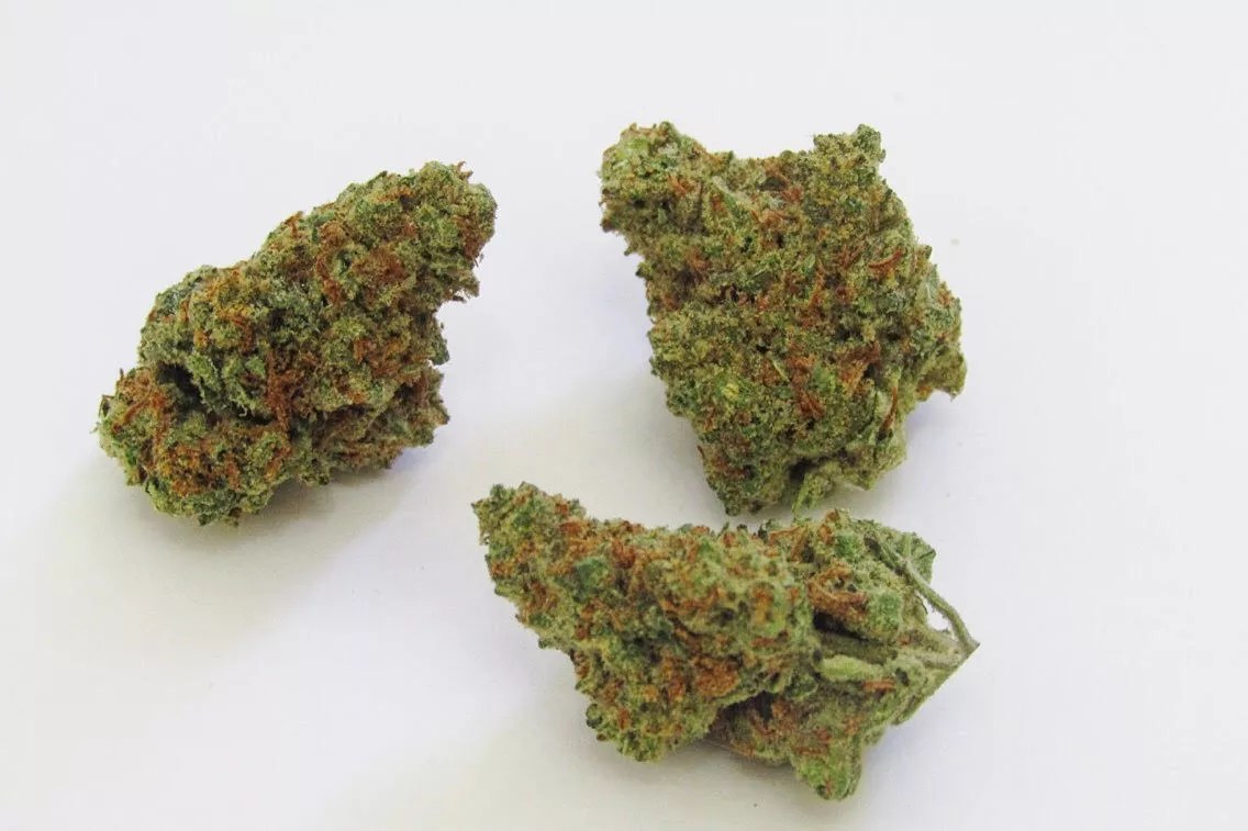 Why Colorado Tokers Love Sour Amnesia