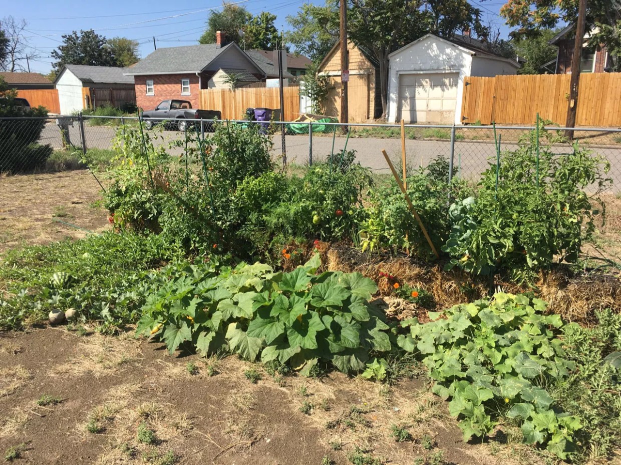 Here’s the Dirt on Gardening in Globeville