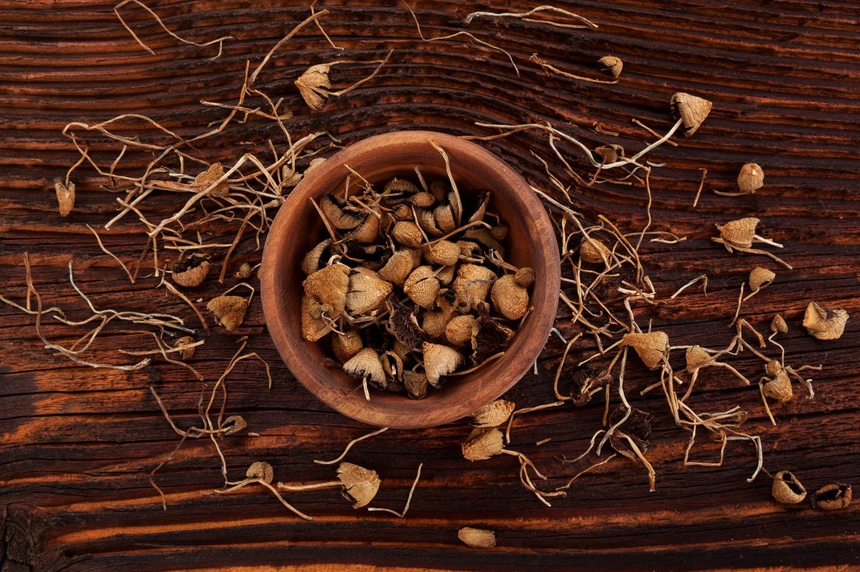 Denver Will Vote on Psilocybin Decriminalization in May