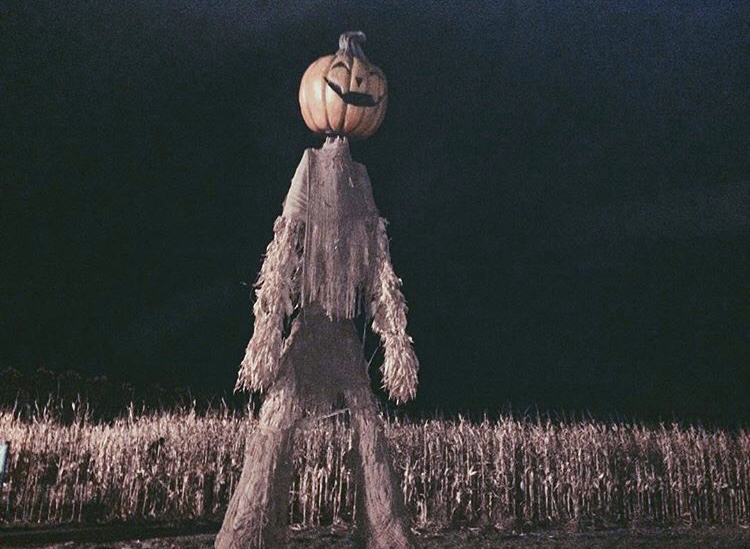Mile High Haunts: A Harvest of Frights at Terror in the Corn