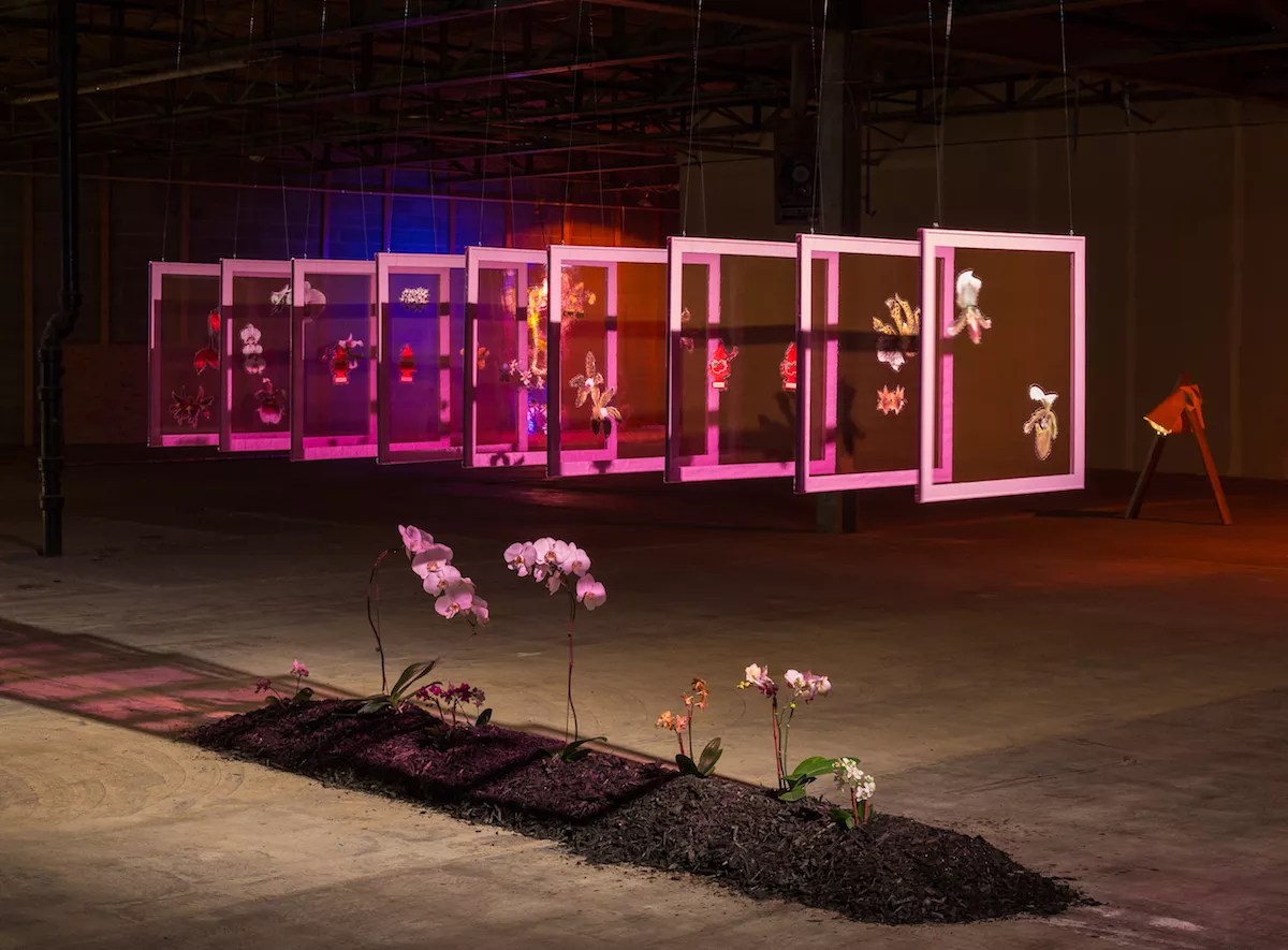 Colorado Creatives: Marsha Mack