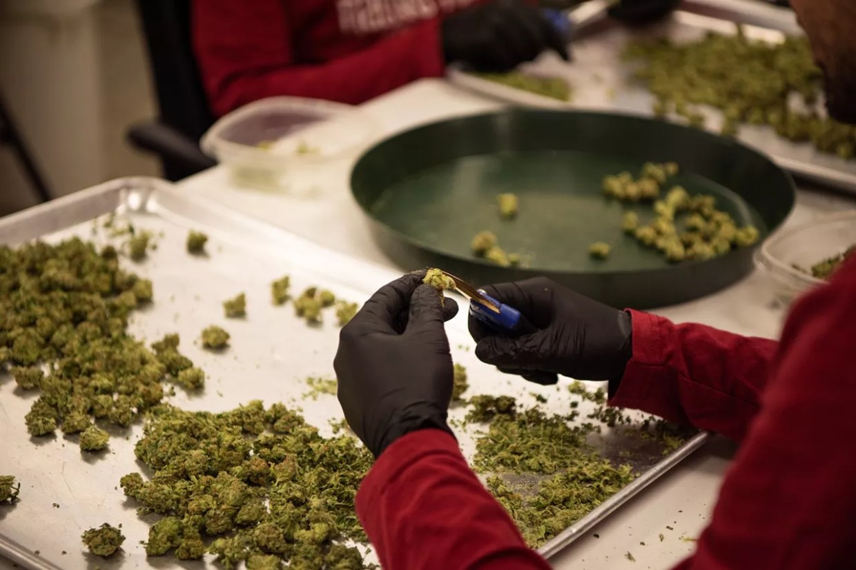 Colorado Marijuana Will Likely Require Heavy Metals Testing in 2019