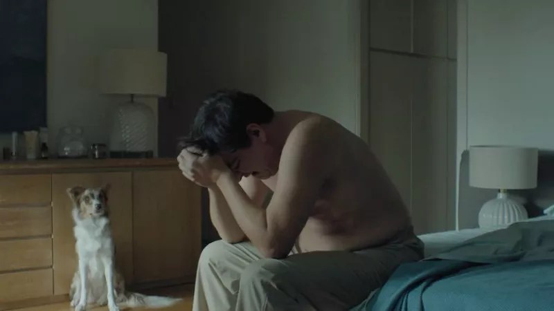 Denver Film Festival Must-See Picks for November 2 to 4: <i>Pity</i> and More