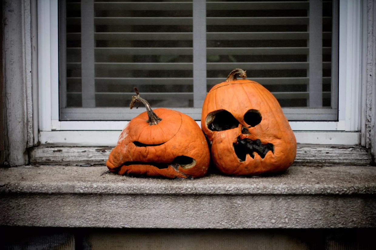 Why Pumpkins Rot So Fast in Denver (and How to Keep Them Fresh)