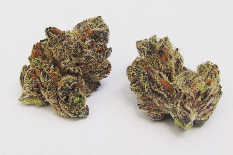 Grape Pie purple weed strain