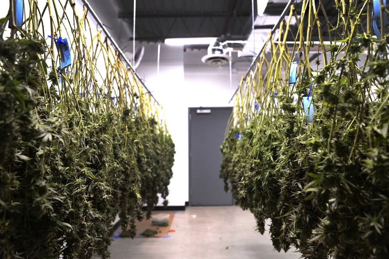 Legal Pot Has Been Big for Commercial Real Estate. For Residential? Not So Much.