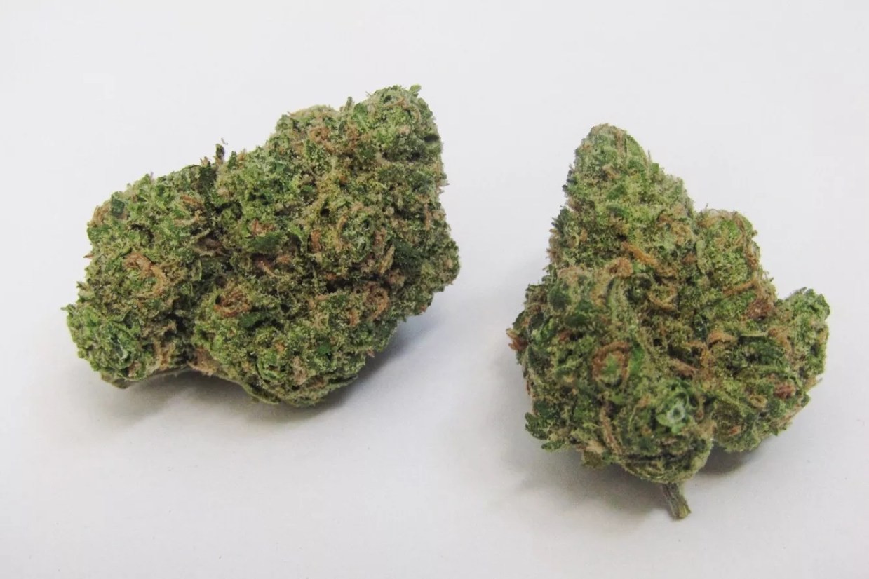 Why Colorado Tokers Love UK Cheese