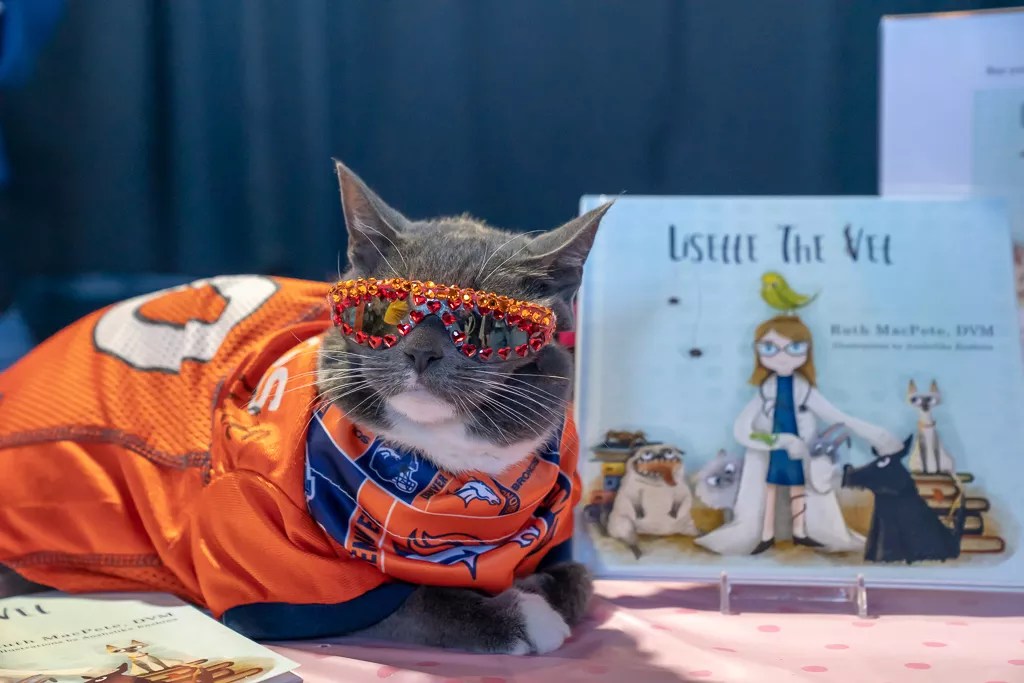 Hundreds of Things to Do This Fall in Colorado