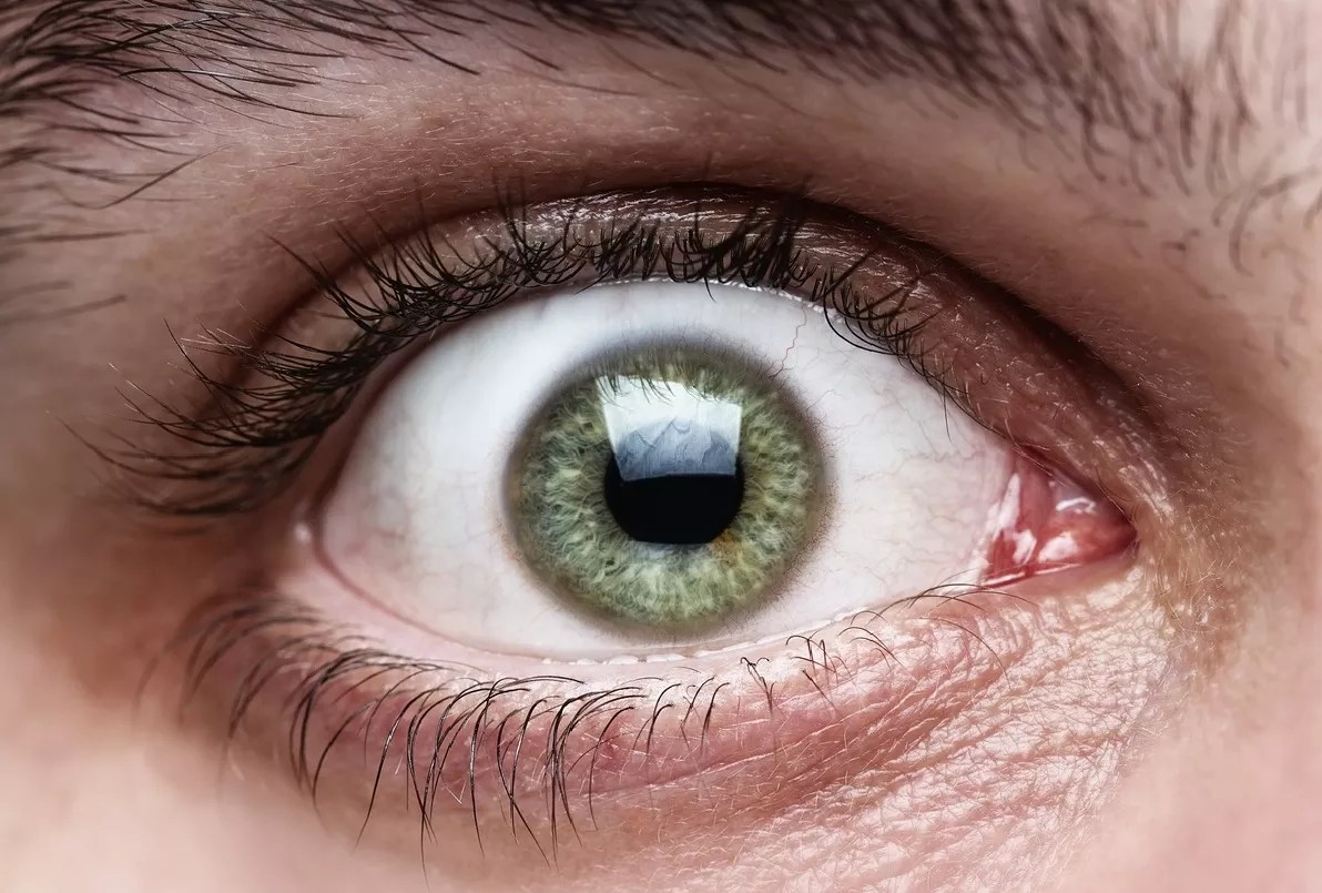 Is Eye Movement the Secret to Detecting Stoned Drivers?